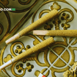 ¿Por Qué los Prearmados de Cannabis Son el Formato Más Rentable? De California a Canadá