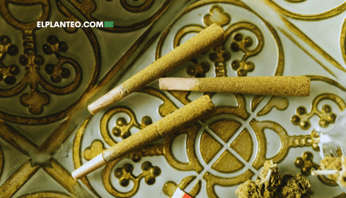 ¿Por Qué los Prearmados de Cannabis Son el Formato Más Rentable? De California a Canadá ¿Por Qué los Prearmados de Cannabis Son el Formato Más Rentable? De California a Canadá