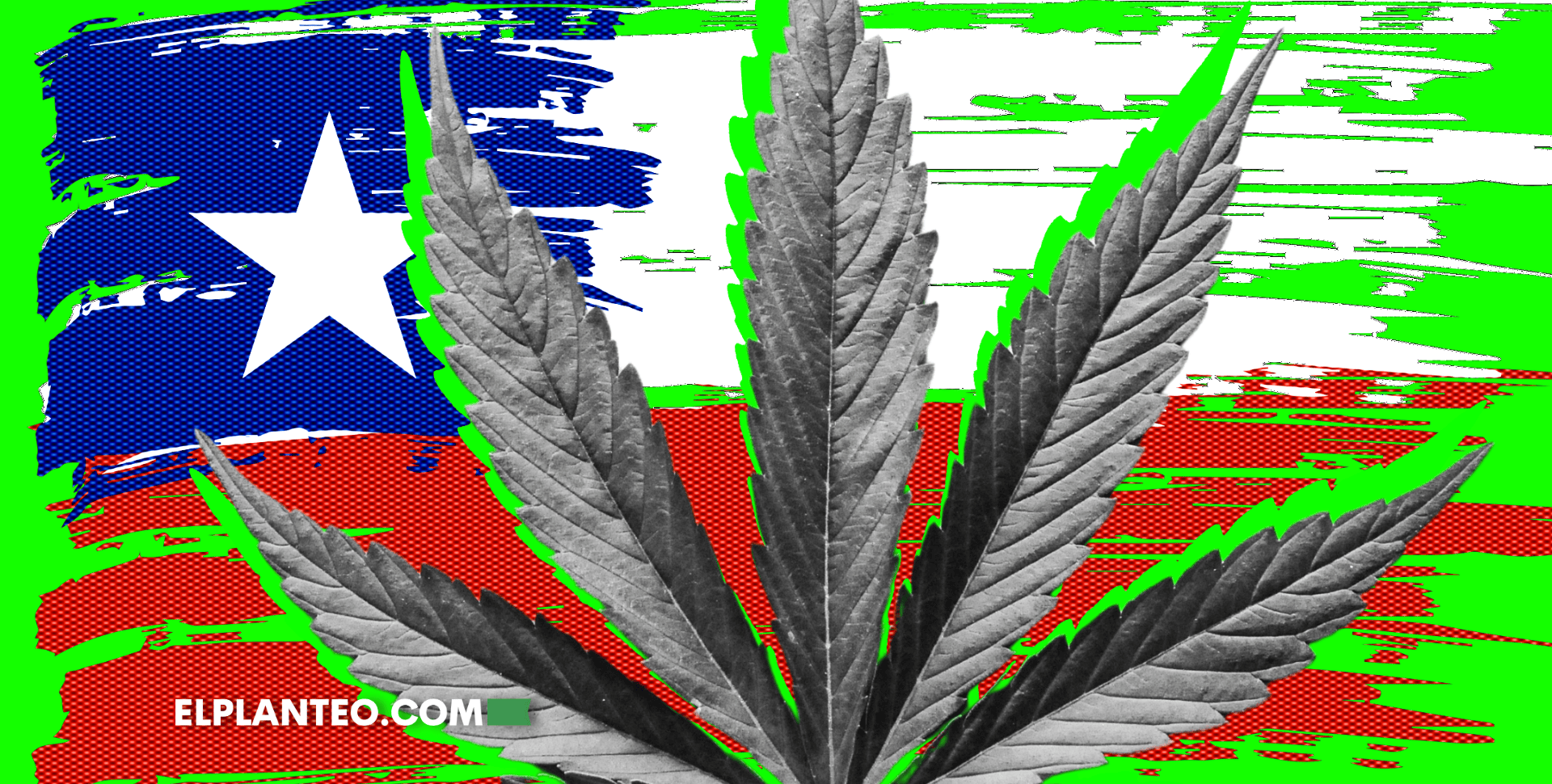 Regulación del Cannabis en Chile: Un Proyecto Clave para la Paz y los Derechos Civiles