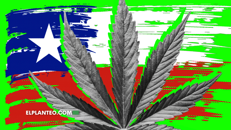 Regulación del Cannabis en Chile: Un Proyecto Clave para la Paz y los Derechos Civiles