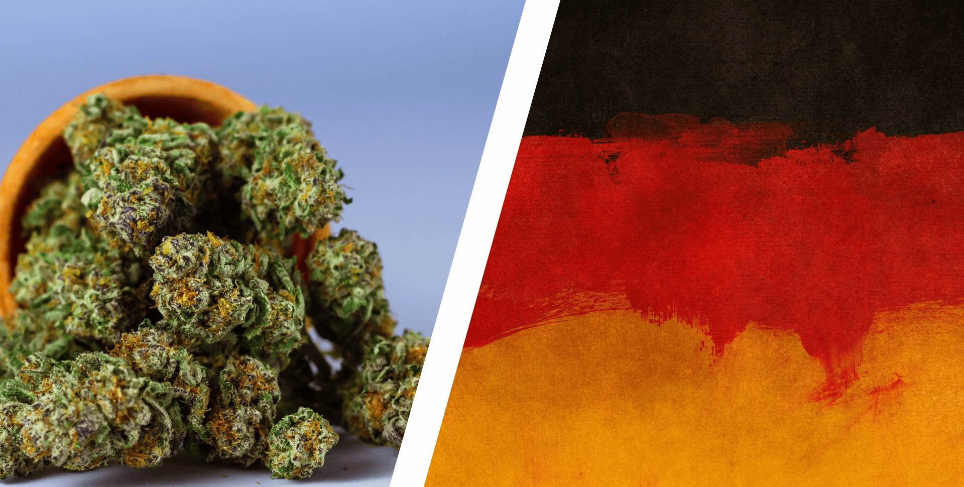 Industria del Cannabis en Alemania Mueve €500M: 2.500 Farmacias y 211 Clubes de Cultivo Legales Industria del Cannabis en Alemania Mueve €500M: 2.500 Farmacias y 211 Clubes de Cultivo Legales