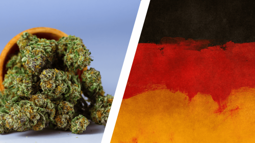 Industria del Cannabis en Alemania Mueve €500M: 2.500 Farmacias y 211 Clubes de Cultivo Legales