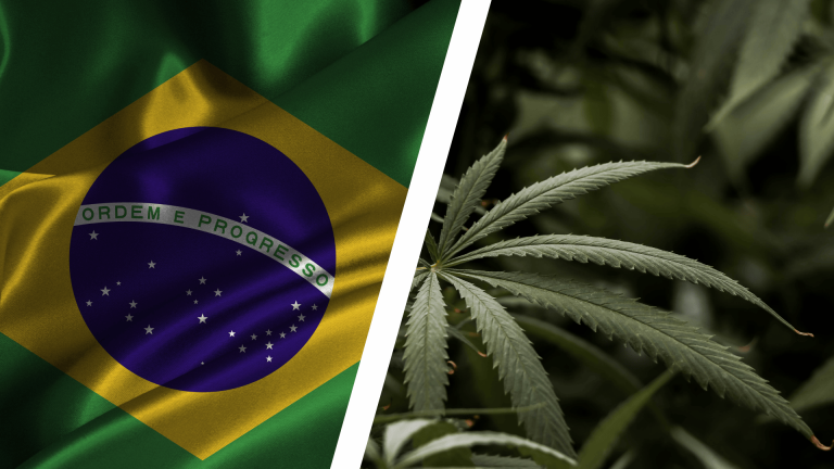 Brasil Aplaza Regulación del Cáñamo Industrial: Se Acerca la Fecha Límite y Crece la Incertidumbre