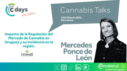 El Modelo de Cannabis Uruguayo Funciona (Pero Necesita Cambios): 5 Datos que lo Confirman El Modelo de Cannabis Uruguayo Funciona (Pero Necesita Cambios): 5 Datos que lo Confirman