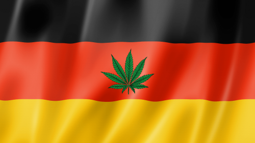 Alemania Es el Mayor Importador de Cannabis Medicinal del Mundo: Cuáles Son las Empresas Beneficiadas