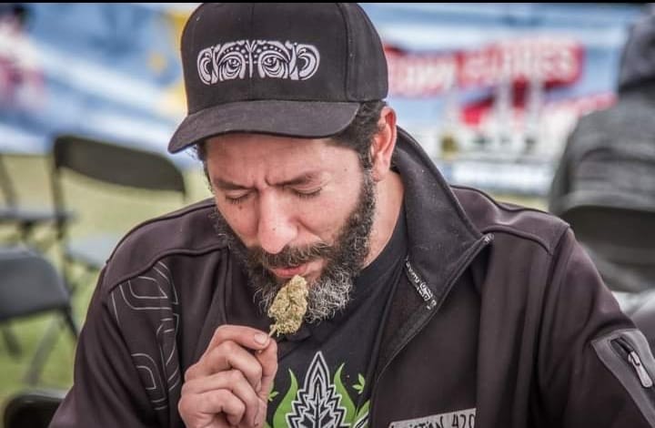 pescaomarino tester cannabis