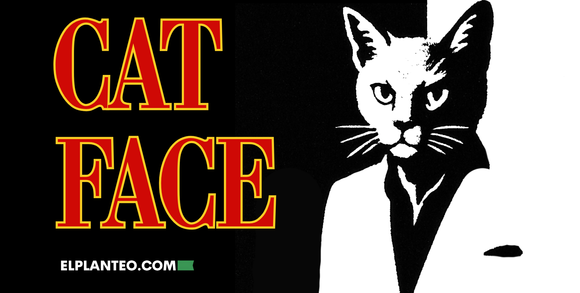 El ‘Narco-Michi’ de Costa Rica: Un Gato, una Cárcel, Drogas y una Gestión de Película