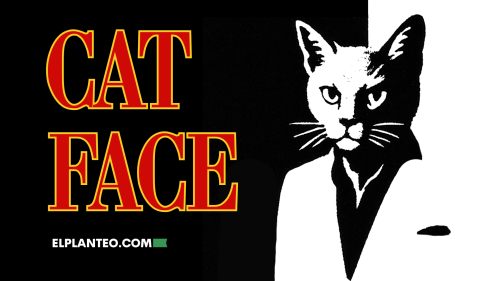 El ‘Narco-Michi’ de Costa Rica: Un Gato, una Cárcel, Drogas y una Gestión de Película