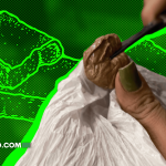 El Hash Tour que Desafía a la Prohibición: Así Educa a Miles con Cannabis en América Latina