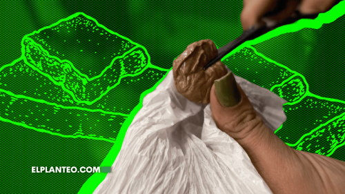 El Hash Tour que Desafía a la Prohibición: Así Educa a Miles con Cannabis en América Latina El Hash Tour que Desafía a la Prohibición: Así Educa a Miles con Cannabis en América Latina