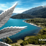 Medicina Verde en la Patagonia: El Cannabis como Política Pública y la Experiencia de Lago Puelo