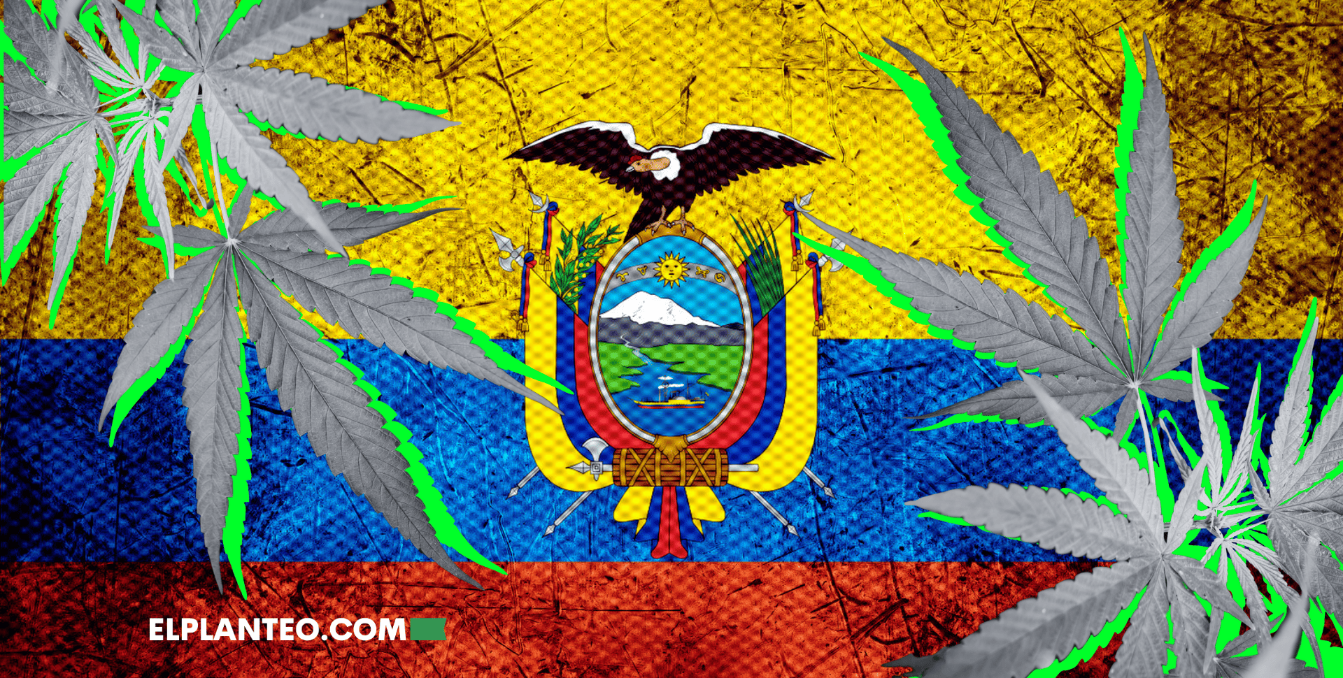 Ecuador Avanza con el Cáñamo: 2.300 Hectáreas de Cultivo y Nuevo Manual Técnico Ecuador Avanza con el Cáñamo: 2.300 Hectáreas de Cultivo y Nuevo Manual Técnico