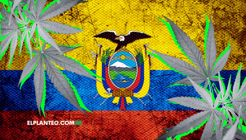 Ecuador Avanza con el Cáñamo: 2.300 Hectáreas de Cultivo y Nuevo Manual Técnico Ecuador Avanza con el Cáñamo: 2.300 Hectáreas de Cultivo y Nuevo Manual Técnico