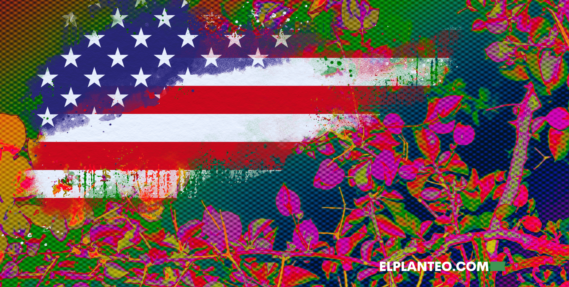 Gobierno de EE. UU. Buscará Priorizar la Investigación de Psicodélicos