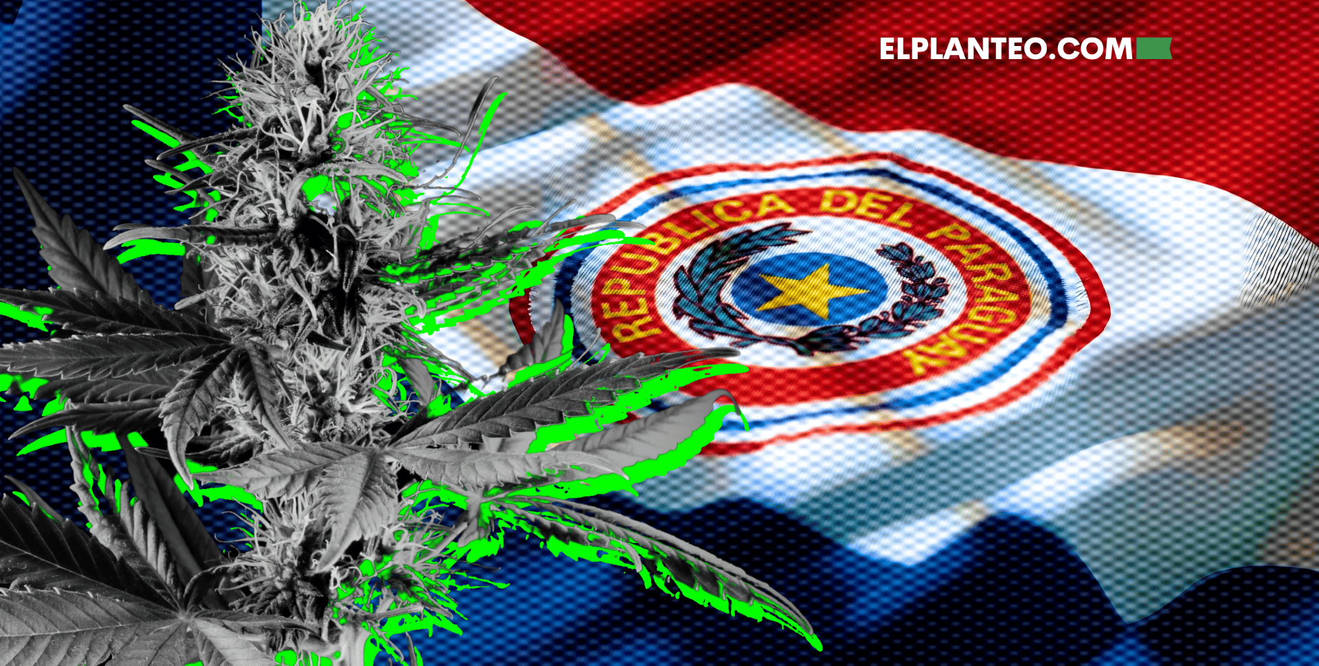 Paraguay Rechazó la Despenalización del Autocultivo de Cannabis: Enojos, Ironías y una Votación Apresurada