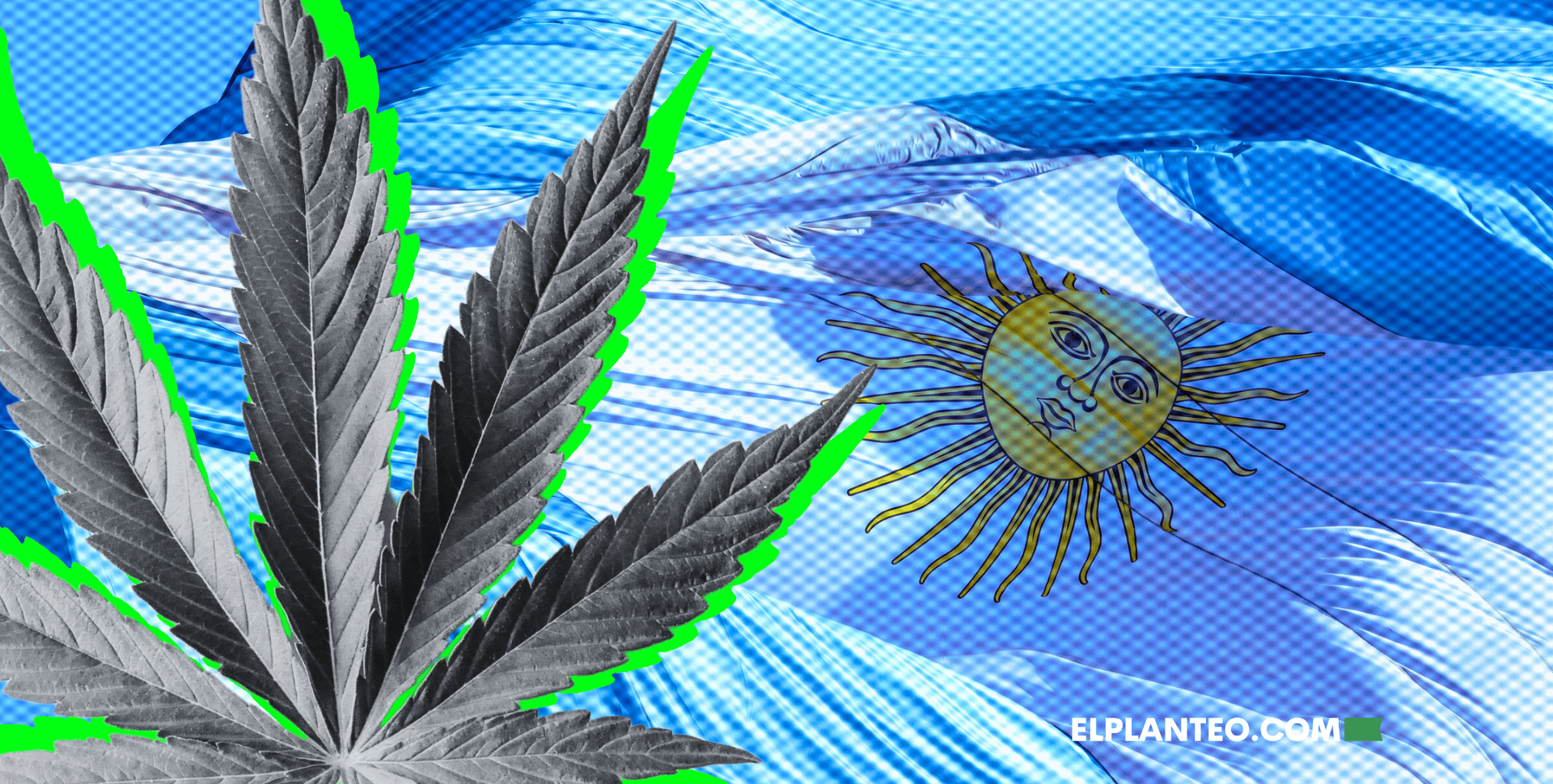 Los Clubes Cannábicos No Existen, Pero Existen: El Debate Sobre Cómo Llamar a las Organizaciones que Cultivan en Argentina Los Clubes Cannábicos No Existen, Pero Existen: El Debate Sobre Cómo Llamar a las Organizaciones que Cultivan en Argentina