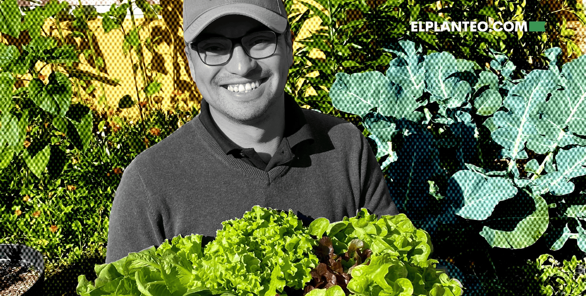 Cómo un Balde con Lombrices Puede Cambiar el Mundo: Cannabis, Semillas Locales y el Vermicompost de Lombriz Feliz