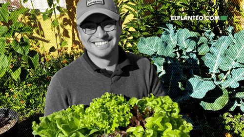 Cómo un Balde con Lombrices Puede Cambiar el Mundo: Cannabis, Semillas Locales y el Vermicompost de Lombriz Feliz