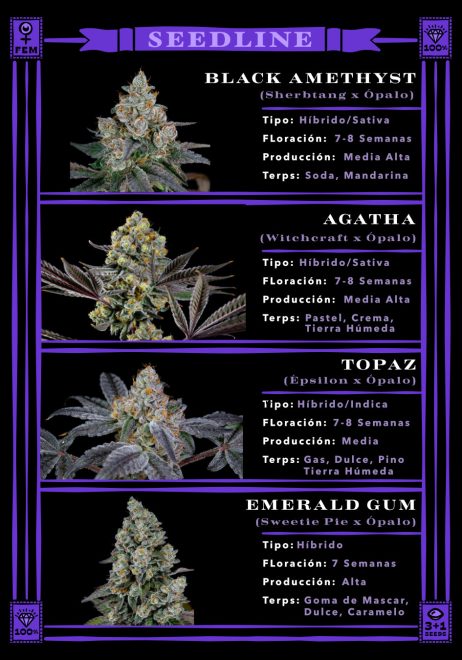 secretfile seeds gemas