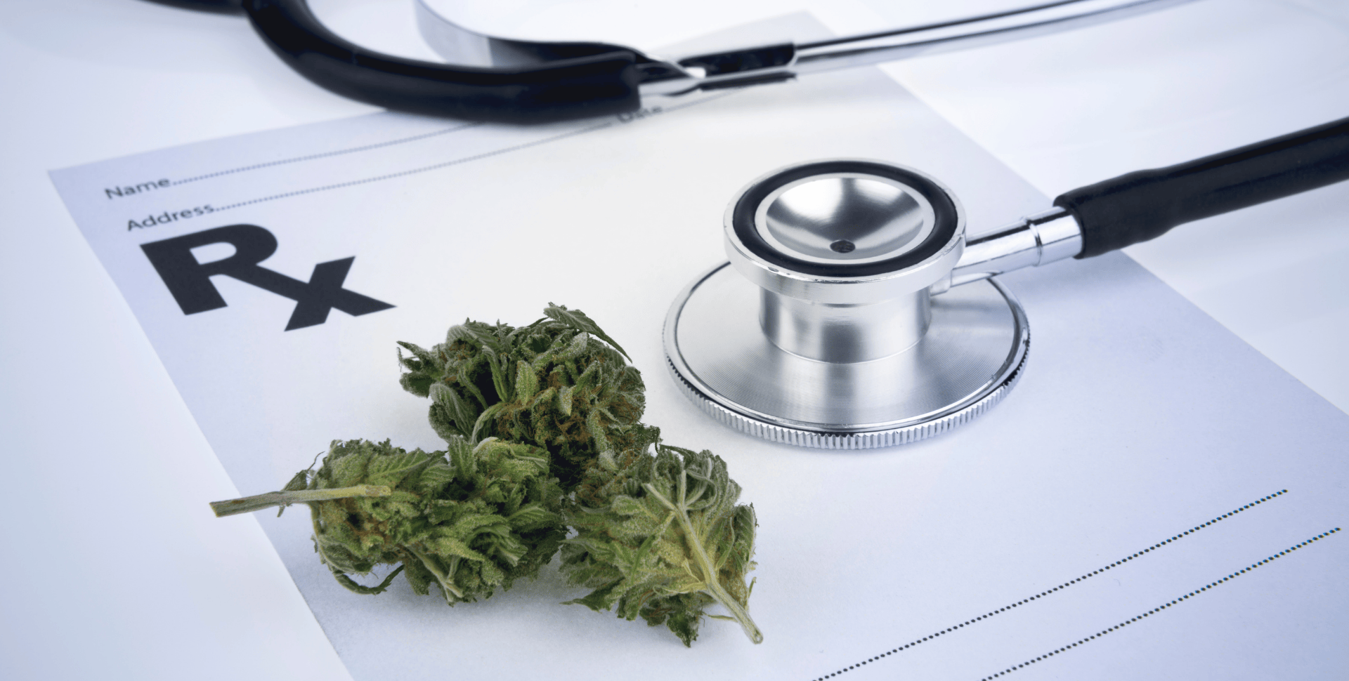 EXCLUSIVA: El Cannabis Medicinal Es Rentable, Dice CEO de Aurora. Pero Los Inversores ‘No Lo Están Viendo’