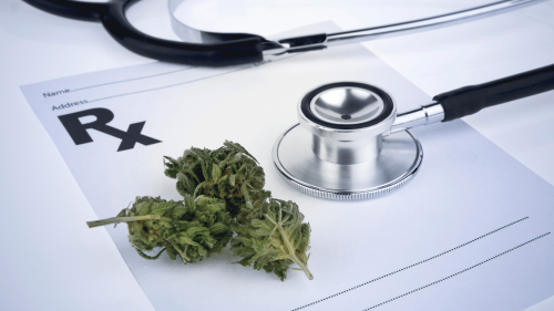 EXCLUSIVA: El Cannabis Medicinal Es Rentable, Dice CEO de Aurora. Pero Los Inversores ‘No Lo Están Viendo’ EXCLUSIVA: El Cannabis Medicinal Es Rentable, Dice CEO de Aurora. Pero Los Inversores ‘No Lo Están Viendo’