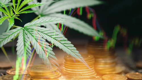 Esta Empresa de Cannabis Hizo lo que Ningún Otro Gigante del Sector Pudo en el Primer Trimestre: Crecer Esta Empresa de Cannabis Hizo lo que Ningún Otro Gigante del Sector Pudo en el Primer Trimestre: Crecer