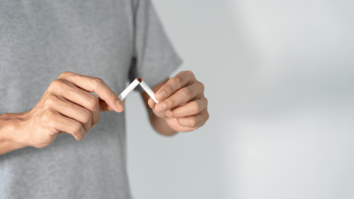 EXCLUSIVA: Aurora Cannabis Explica Su Vínculo con Philip Morris: Se Trata de Ciencia, No de Tabaco EXCLUSIVA: Aurora Cannabis Explica Su Vínculo con Philip Morris: Se Trata de Ciencia, No de Tabaco