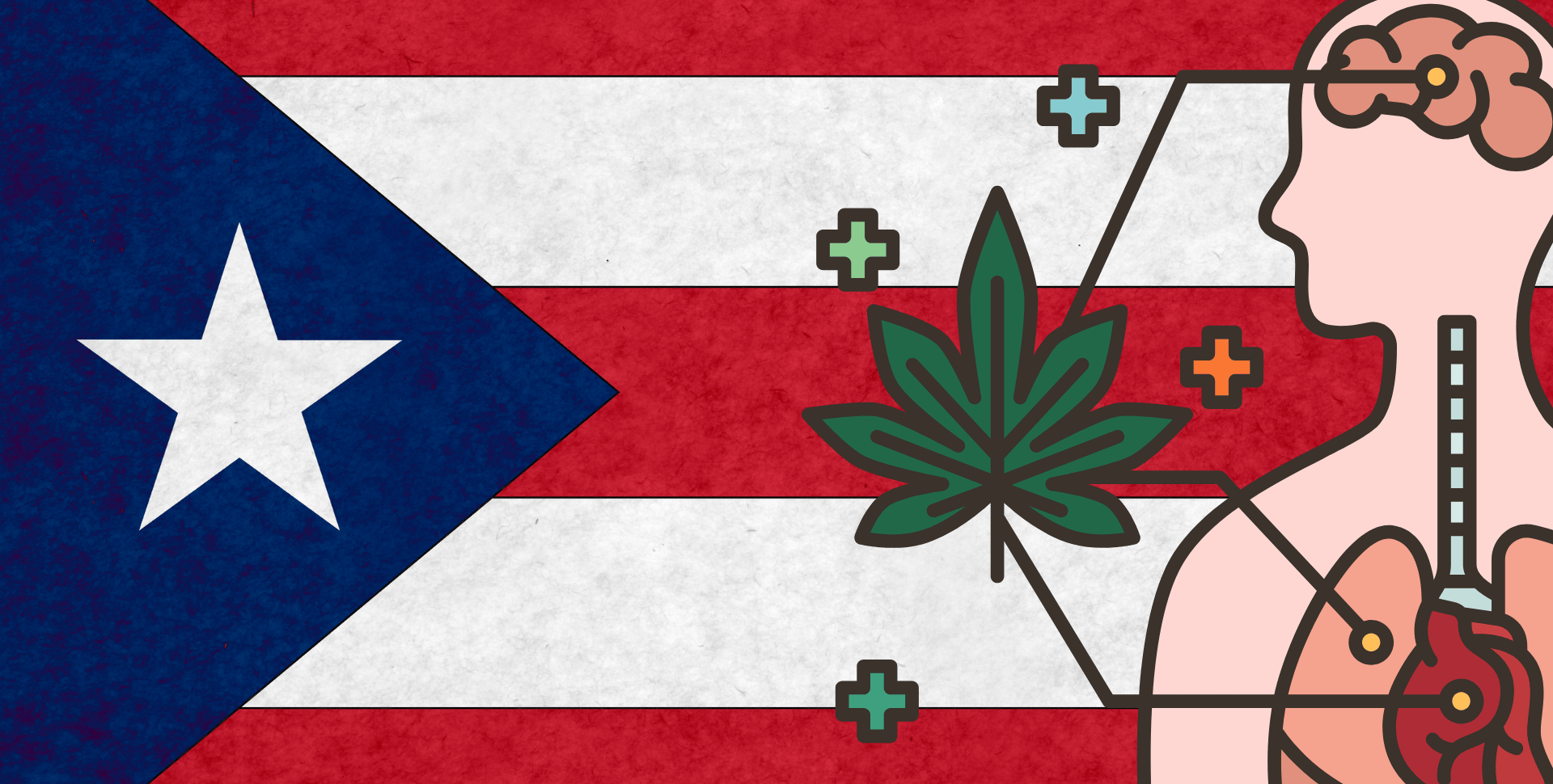 Estudio Expone la Brecha de Acceso al Cannabis Medicinal en Puerto Rico