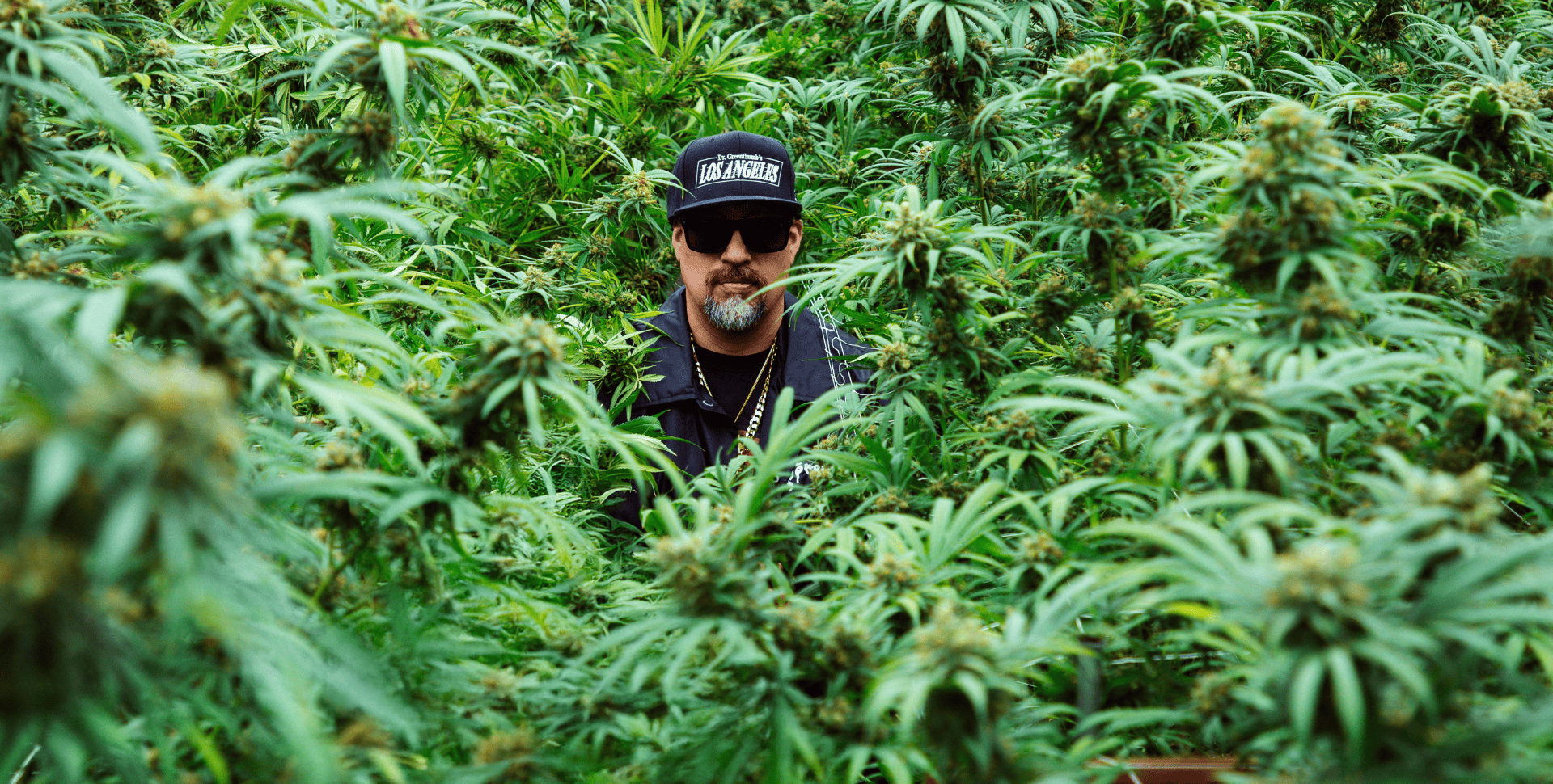 La Nueva Movida Cannábica de los Famosos: Por Qué B-Real, Tyson y Method Man Apuestan por las Semillas La Nueva Movida Cannábica de los Famosos: Por Qué B-Real, Tyson y Method Man Apuestan por las Semillas