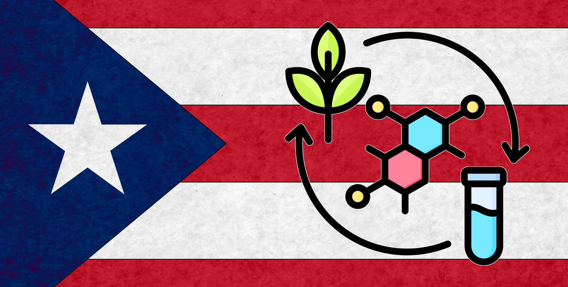Cómo Frenar el Avance de la Marihuana Sintética en Puerto Rico