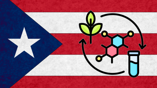 Cómo Frenar el Avance de la Marihuana Sintética en Puerto Rico