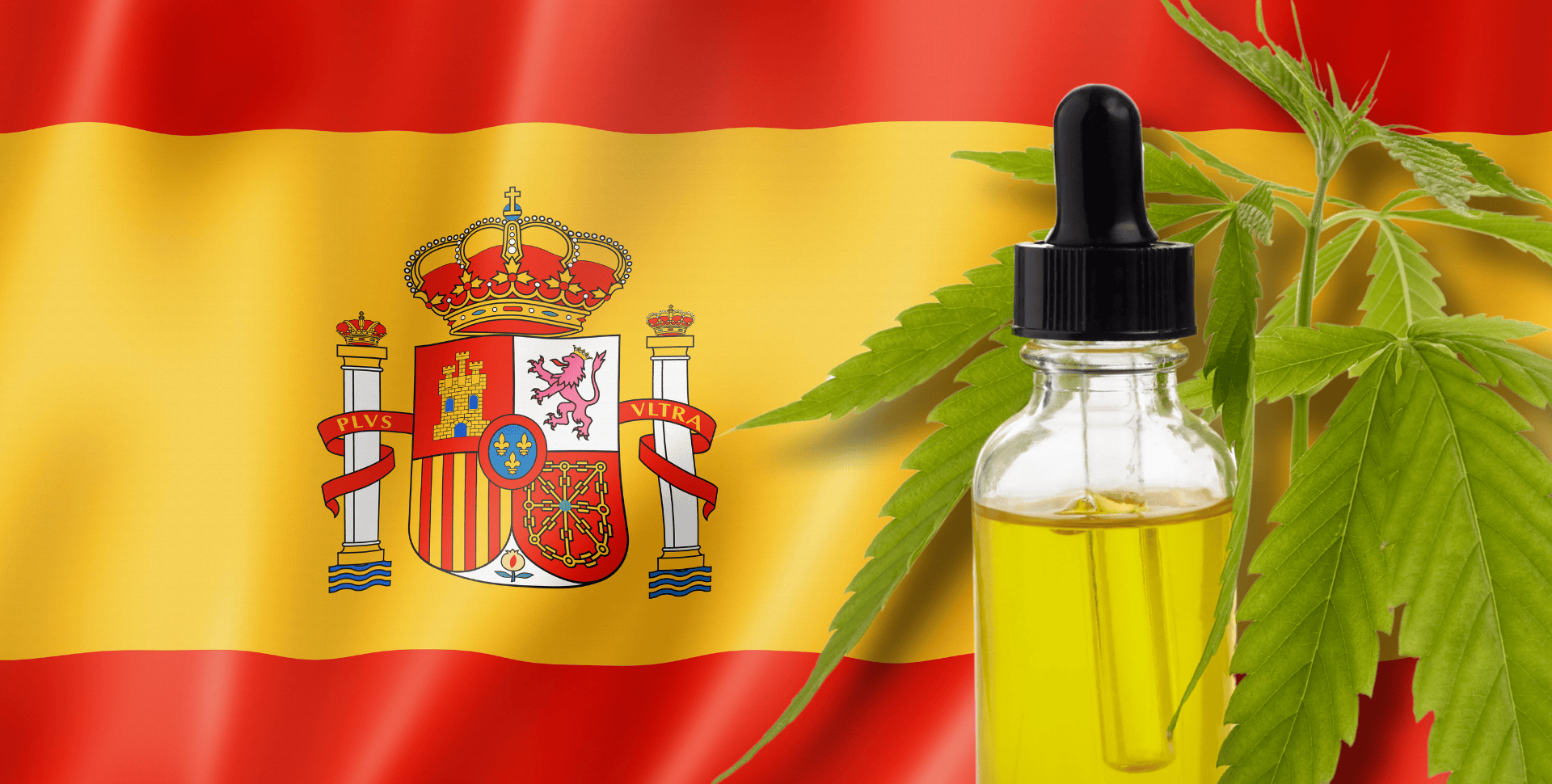 ¿Qué Hace Falta para que España Reconozca el Cannabis como Medicamento? Una Perspectiva Farmacológica