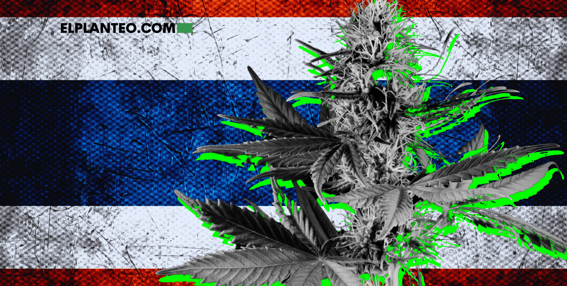 Tailanda Restringe el Cannabis de Uso Adulto y Empuja a la Industria al Abismo