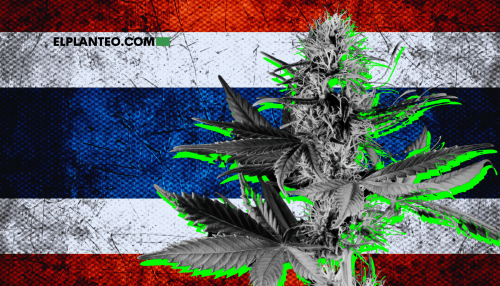 Tailanda Restringe el Cannabis de Uso Adulto y Empuja a la Industria al Abismo