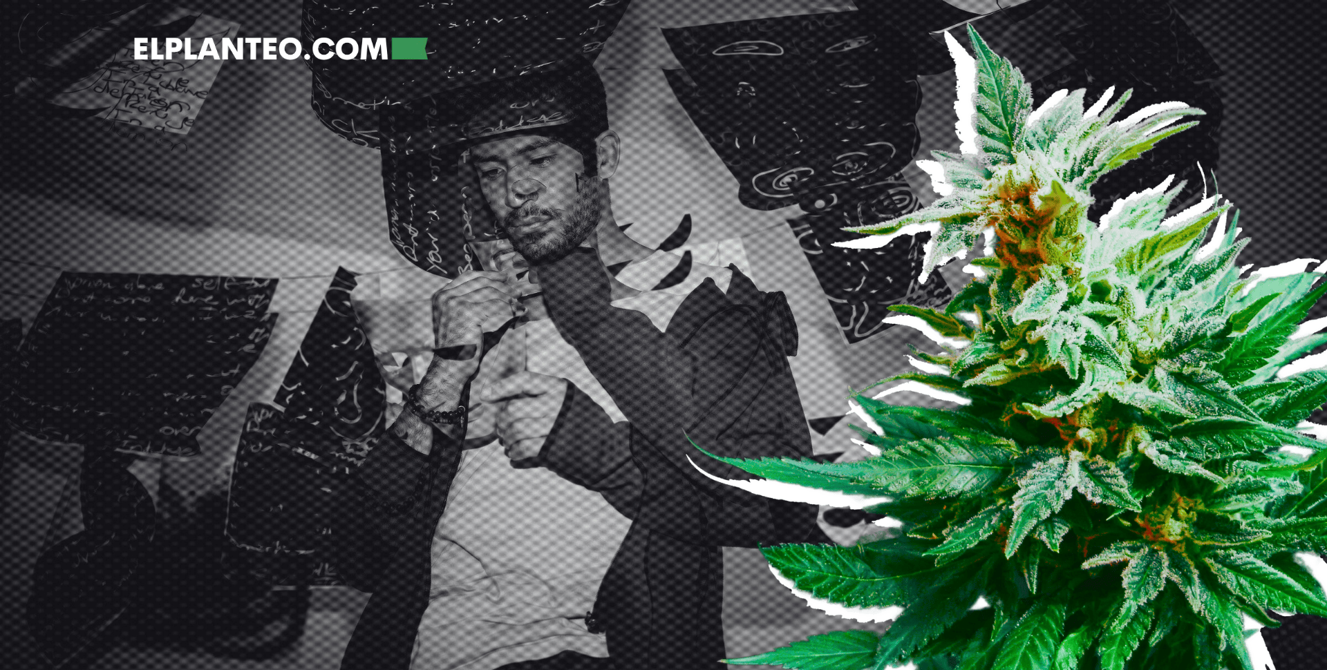 Cannabis Contra el TOC: Qué Dice el Mayor Estudio hasta la Fecha (y Por Qué Brinda Esperanza) Cannabis Contra el TOC: Qué Dice el Mayor Estudio hasta la Fecha (y Por Qué Brinda Esperanza)