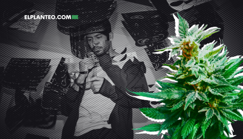 Cannabis Contra el TOC: Qué Dice el Mayor Estudio hasta la Fecha (y Por Qué Brinda Esperanza) Cannabis Contra el TOC: Qué Dice el Mayor Estudio hasta la Fecha (y Por Qué Brinda Esperanza)