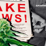 No lo Creas, Es Clickbait: El ‘Estudio’ que Afirma que el Cannabis Hace Crecer el Pene Publicado por un YouTuber