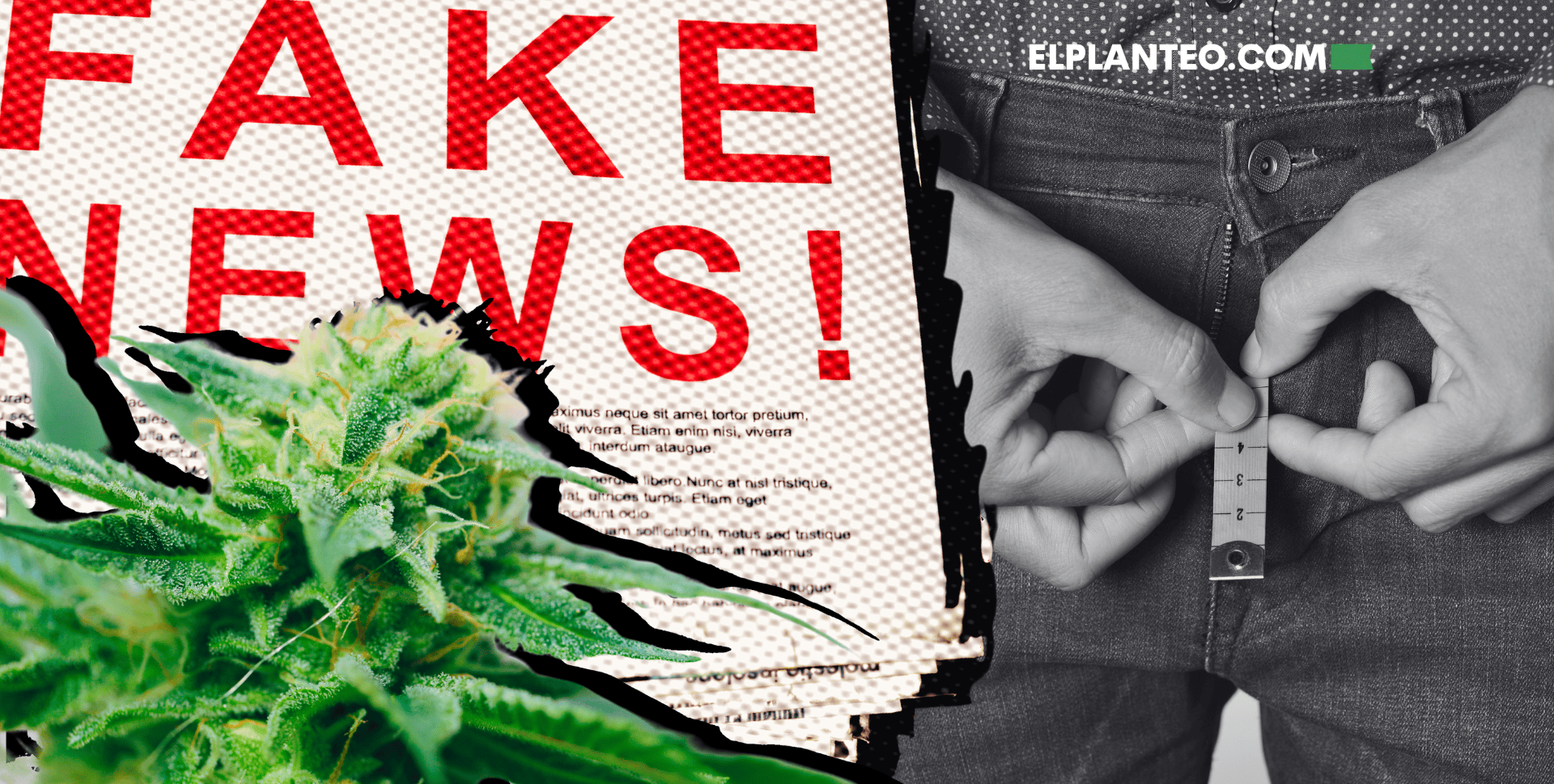 No lo Creas, Es Clickbait: El ‘Estudio’ que Afirma que el Cannabis Hace Crecer el Pene Publicado por un YouTuber