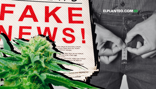 No lo Creas, Es Clickbait: El ‘Estudio’ que Afirma que el Cannabis Hace Crecer el Pene Publicado por un YouTuber