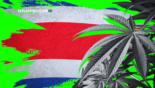 Costa Rica lo Hace Realidad: Ya se Vende Cannabis Medicinal en las Farmacias