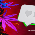 ¿Meta Aflojó con las Restricciones al Cannabis? Menos Censura en Instagram y Facebook, pero Sin Políticas Claras