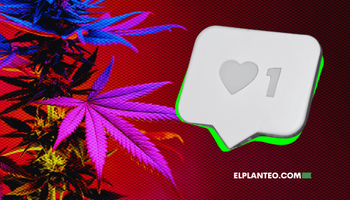 ¿Meta Aflojó con las Restricciones al Cannabis? Menos Censura en Instagram y Facebook, pero Sin Políticas Claras