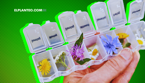 Hierbas y Plantas Curativas que se Pueden Fumar (Aparte del Cannabis)