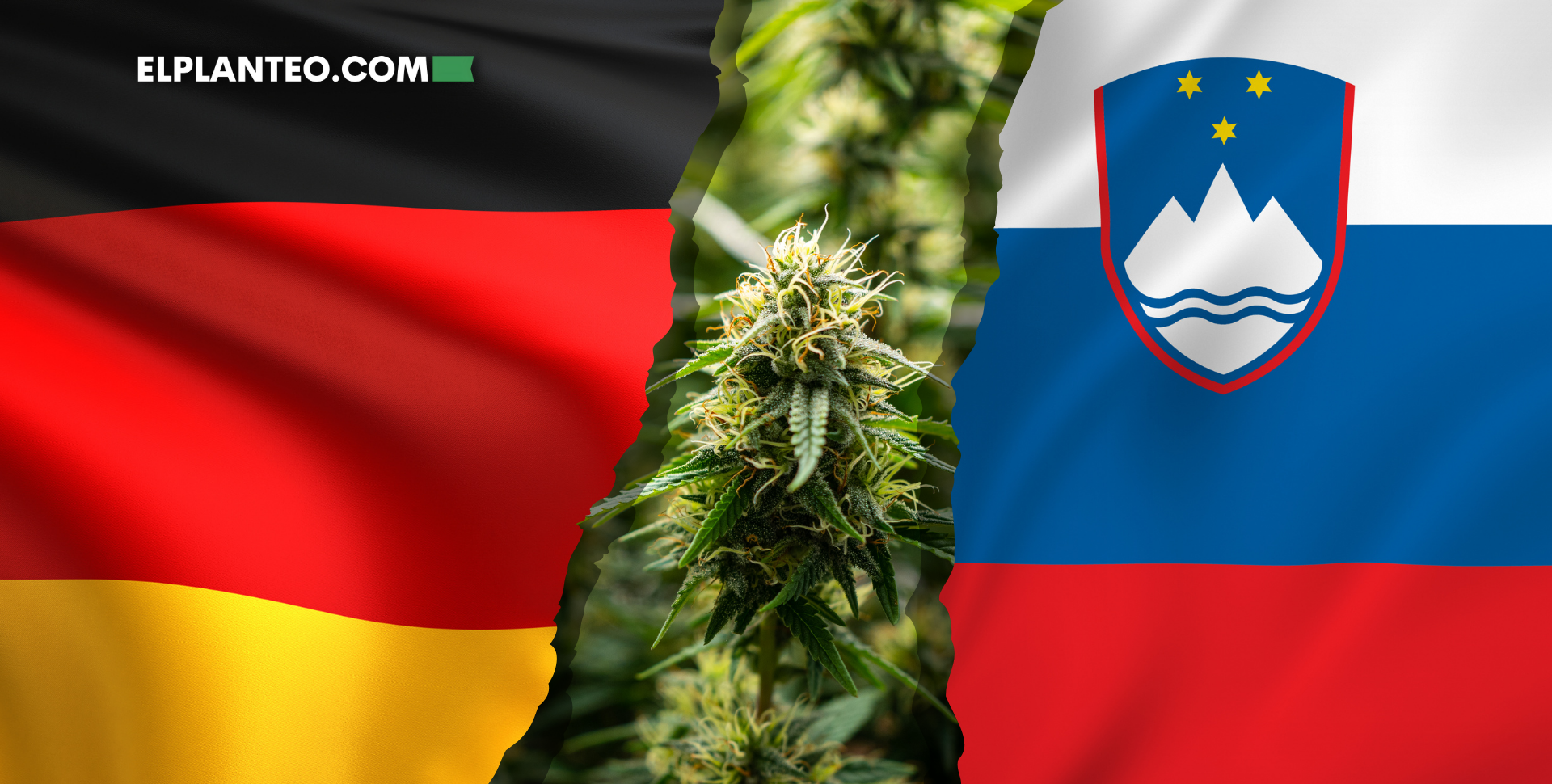 Europa Dividida: Eslovenia Legaliza el Cannabis Medicinal, Alemania da Marcha Atrás Europa Dividida: Eslovenia Legaliza el Cannabis Medicinal, Alemania da Marcha Atrás