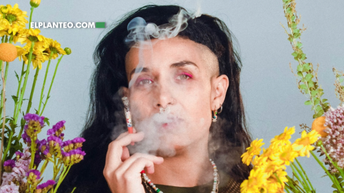 Los Nuevos Rostros de la Marihuana: Creadores de Contenido Cannábico Hacen lo que las Grandes Marcas No Pueden