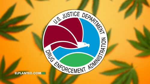 Confirman Nuevo Jefe de la DEA: Antiporro Pero, ¿Con Planes de Reclasificar? Confirman Nuevo Jefe de la DEA: Antiporro Pero, ¿Con Planes de Reclasificar?