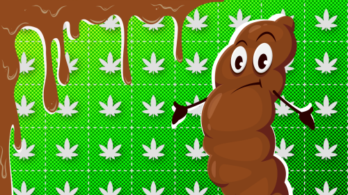 Hablemos de Caca (y del Mayor Mito Cannábico Moderno): ¿La Marihuana Favorece ‘Ir al Baño’? Hablemos de Caca (y del Mayor Mito Cannábico Moderno): ¿La Marihuana Favorece ‘Ir al Baño’?