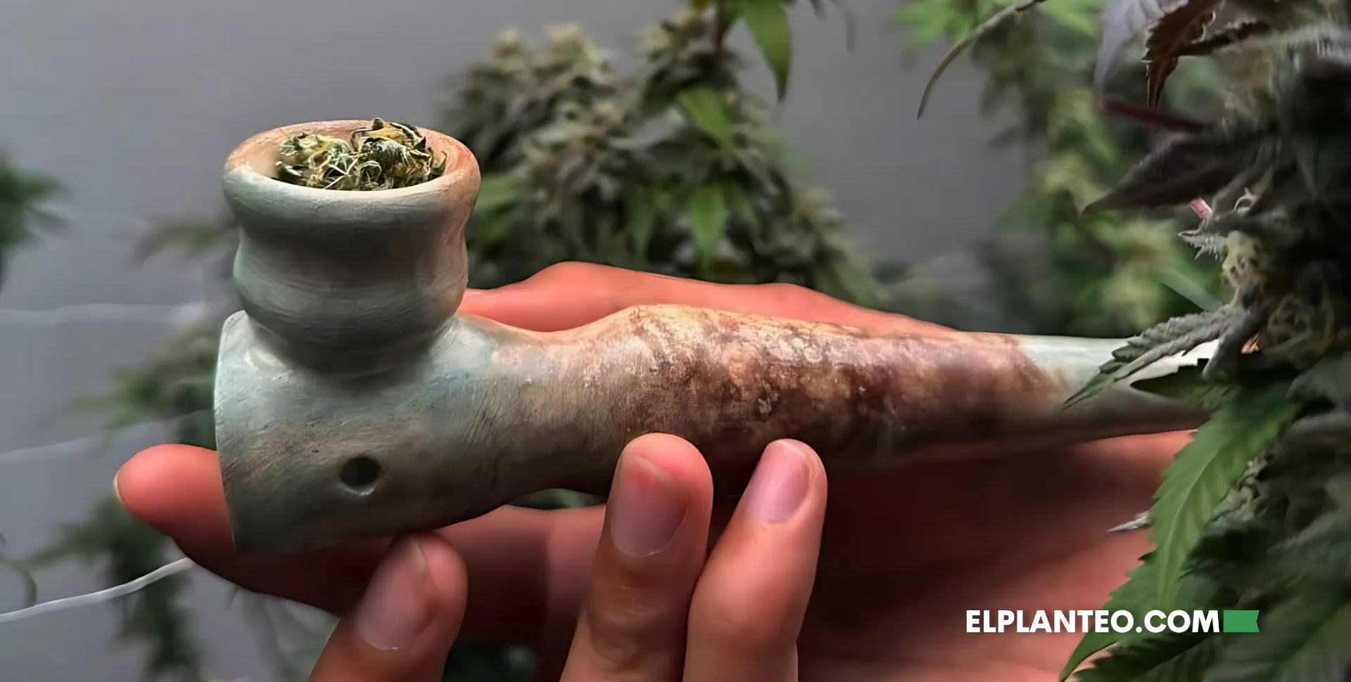 Fumá tu Creación: Armá tus Pipas de Cerámica en el Taller de Barro & Weed Fumá tu Creación: Armá tus Pipas de Cerámica en el Taller de Barro & Weed