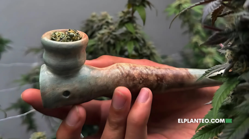 Fumá tu Creación: Armá tus Pipas de Cerámica en el Taller de Barro & Weed