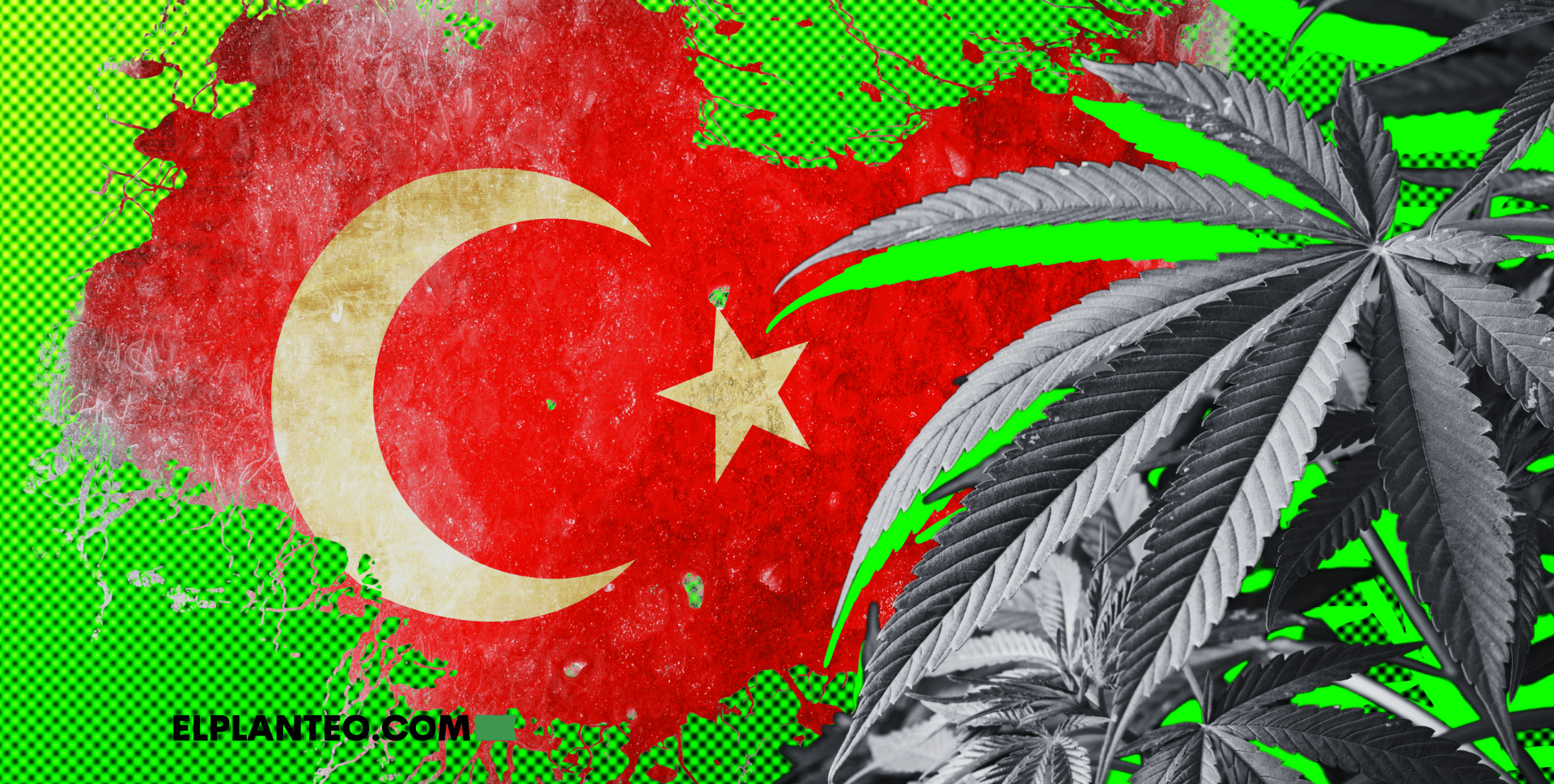 Turquía: Presentan Proyecto de Ley para Producir Cannabis Medicinal